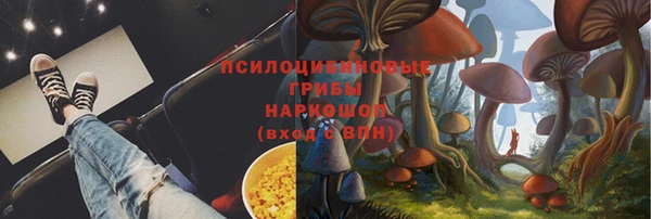 шишки Бородино